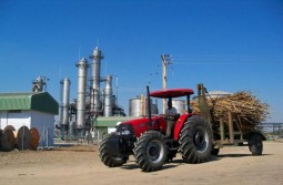 Pictures: The Green Fuel Chisumbanje site tour