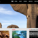 Zimbabwean travel and tourism websites you may want to visit.