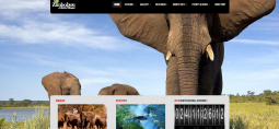 Zimbabwean travel and tourism websites you may want to visit.