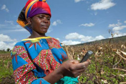 Econet announces EcoFarmer, insurance for smallholder farmers