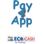 Pay4App launches an online payments API for Zimbabwe that uses EcoCash