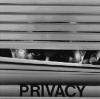 Of private recordings and privacy in the digital age