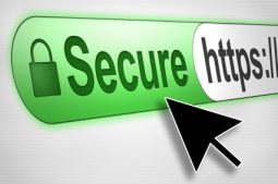 SSL Certificates for dummies: A primer.