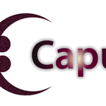 Zim startup launches mobile money management desktop app, Capu