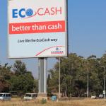 EcoCash reintroduces merchant payment fees, brings cost of mobile money services back into focus