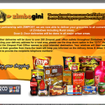 Zimbogini Online Store: Partners Zimpost and has all payment options