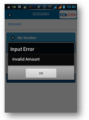 ecocash-app-error