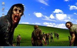 Windows XP