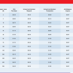 Ecocash debit card MasterCard VCN transaction fees