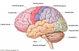 Understanding the memory problem