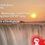 Zvirikuflaya FlyAfrica promo