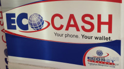 EcoCash subscribers experience service disruption