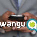 Will Wangu takeoff as Zimbabwe’s Facebook or its own social network?