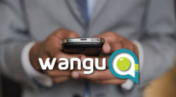 Will Wangu takeoff as Zimbabwe’s Facebook or its own social network?