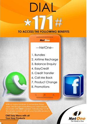 NetOne Bundles