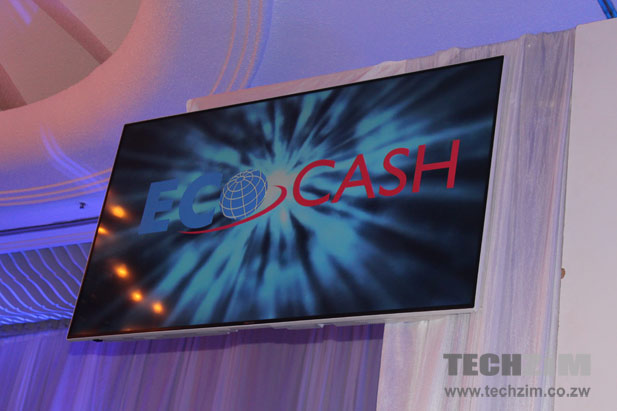 EcoCash