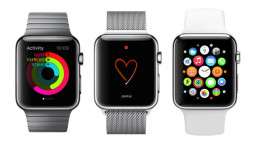 I still think the Apple smart watch is a dumb idea