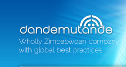 Exclusive: Dandemutande, iWayAfrica & AfricaOnline merging