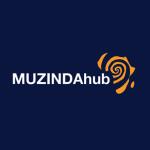 No more freebies as Muzinda Hub offers internet education for companies through enterprise targeted tech courses