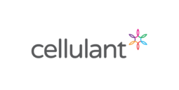 Cellulant wants *365# to be how all you pay all the bills in your life