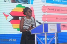 Ecocash CEO, Natalie Jabangwe Appointed To President Mnangagwa’s 24 Member Advisory Council