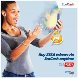 EcoCash BUY ZESA feature now avalaible, buy your prepaid electricity in 7 easy steps