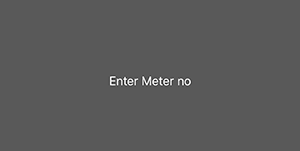 meter-no