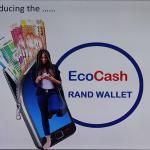 EcoCash wants you to use its Rand Account for salaries, cash in/out, sending money and later for paying your DSTV and ZESA tokens, and yes its approved by RBZ!