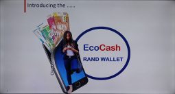 EcoCash wants you to use its Rand Account for salaries, cash in/out, sending money and later for paying your DSTV and ZESA tokens, and yes its approved by RBZ!