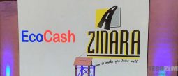 EcoCash ZINARA