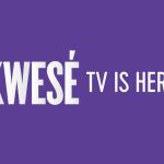 Finally Kwese Is Now Licensed In Zimbabwe