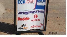 telecel netone ecocash