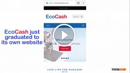 EcoCash has its own website now promising more utility