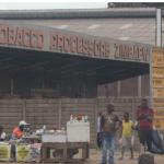 People outside the Zimbabwe Tobacco processors building