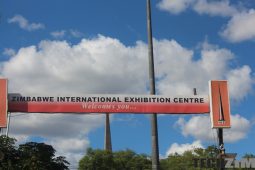 ZITF Has An App Detailing All The Exhibitors and Sessions For 2018’s Trade Fair: Quite Useful