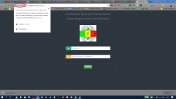 ZEC Website Is Back Online. Is It Being Hacked A Sign That We Are Lacking As A Nation?