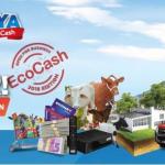 Banner of chakachaya ne ecocash