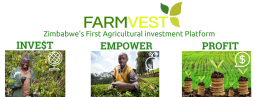 Farmvest: An Agriculture Investment Platform That Will Help Zim Farmers To Source Capital