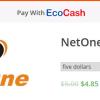 Use EcoCash to buy NetOne and Telecel Airtime – Here’s How