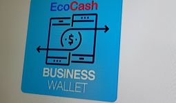 Instead Of Using The USSD To Access The EcoCash Business Wallet, Use This App