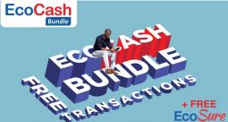 EcoCash Announces New Bundles Allowing “Free Transactions”. You Have To Buy The Bundle…