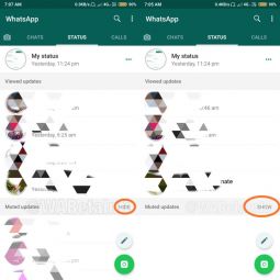 how to unmute whatsapp status