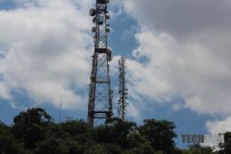 Mobile Networks Lose Subscribers In First Quarter Of 2019: NetOne With The Most Significant Loss