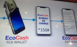 How To Sell Your US Dollars On EcoCash’s Mobile Phone Bureau de Change