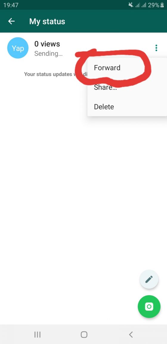15 Things You (Probably) Didn't You Could Do On WhatsApp Status Techzim