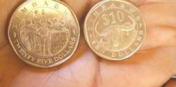 RBZ Governor Responds To Circulating $10 & $25 Coins Images