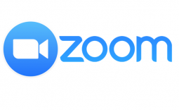 Zoom audio quality