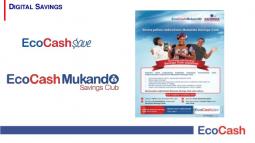 EcoCashSave