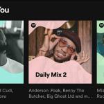 Spotify Made for You, Spotify Zimbabwe, Daily Mixes