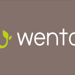 Wentors and Microsoft